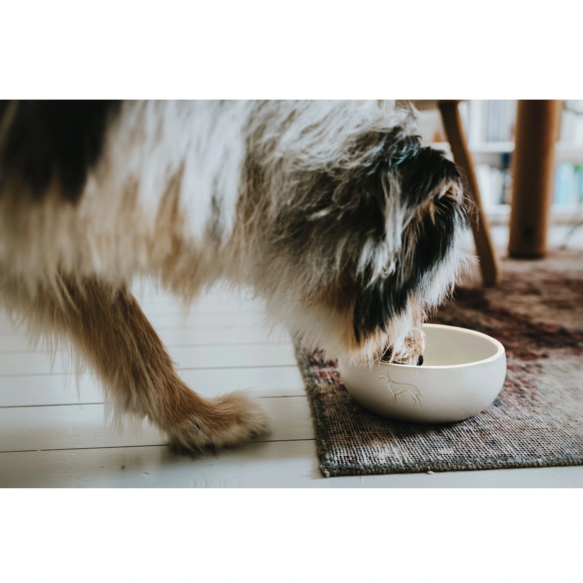 Hunter keramik Lund hunde skål 550 ml Beige